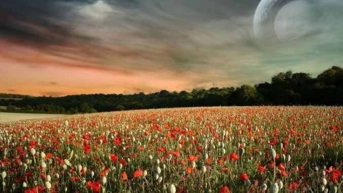 求大神解答，为什么大家都不喜欢用docker？